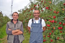 Vergers du Pré Ferron